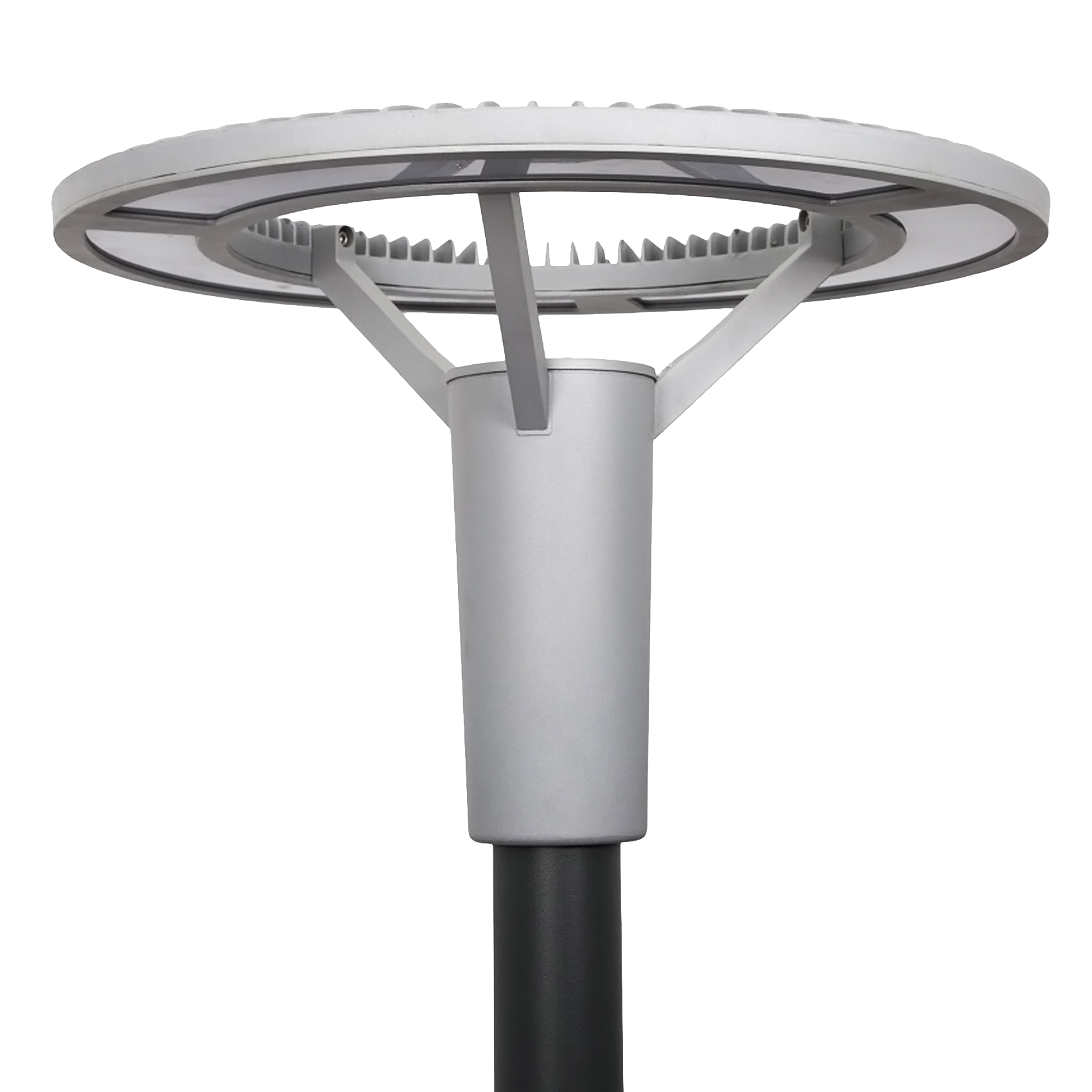 round-tootepilt-white